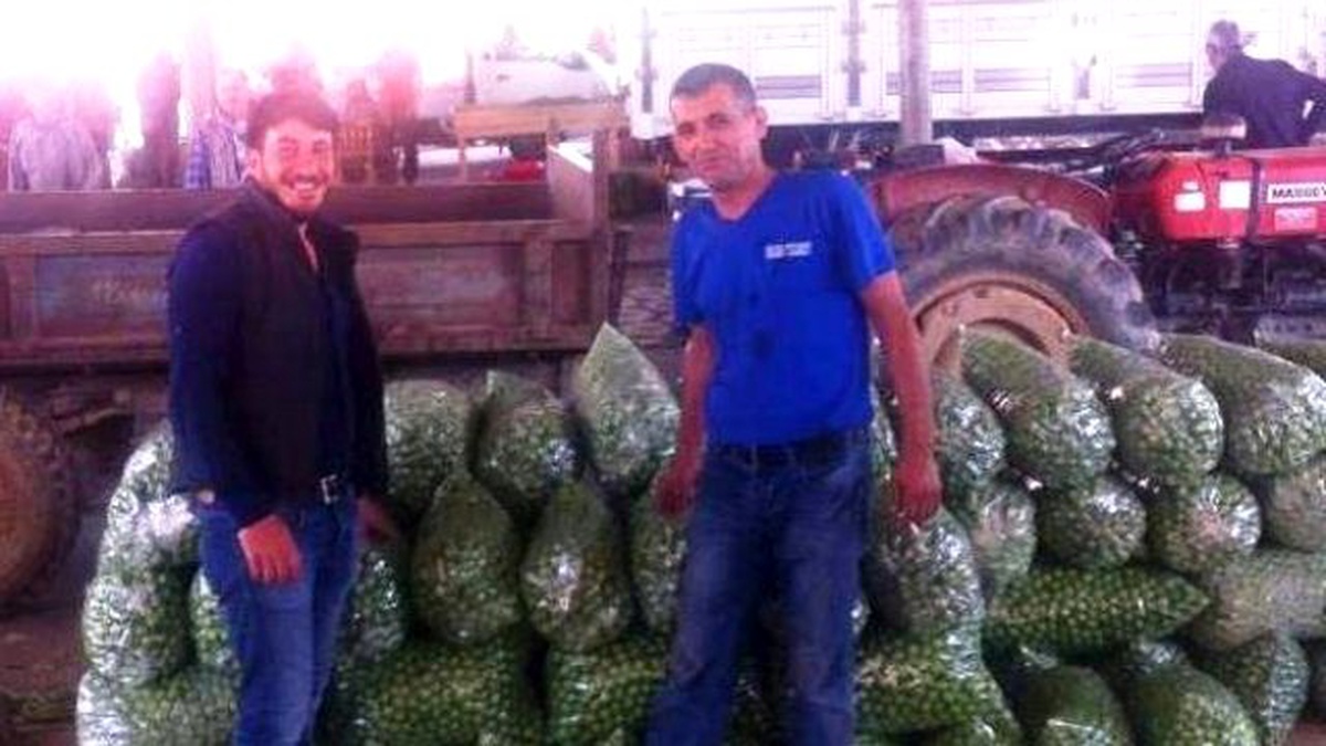 Erikte Üretim Düşük, Fiyatlar Yüksek