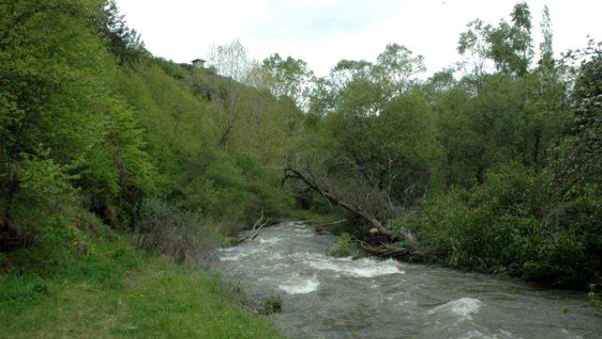 Gürcistan'daki 15 Dönüm Toprağı, 40 Yıl Sonra Geri Aldık