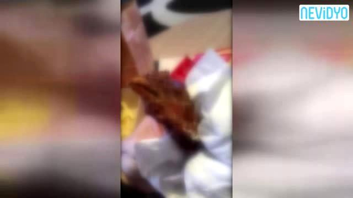 Kanat Aldı, İçinden Tavuk Kafası Çıktı