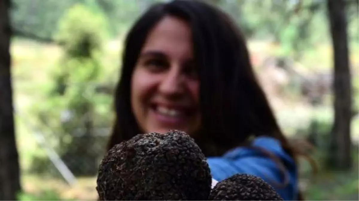 Manisa\'da \'Siyah Elmas\' Ormanı Bulundu