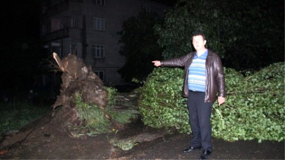 Zonguldak\'ta Fırtınada Çatılar Uçtu, Ağaçlar Devrildi