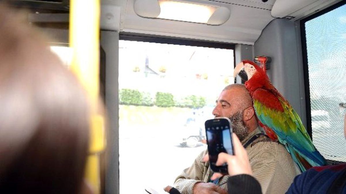 'Allah' Diyen Papağan Metrobüs Yolcularını Hayrete Düşürdü