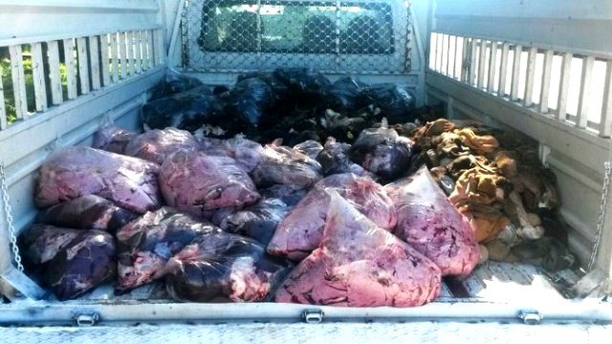 Diyarbakır\'da 1 Ton Hayvansal Ürün Ele Geçirildi