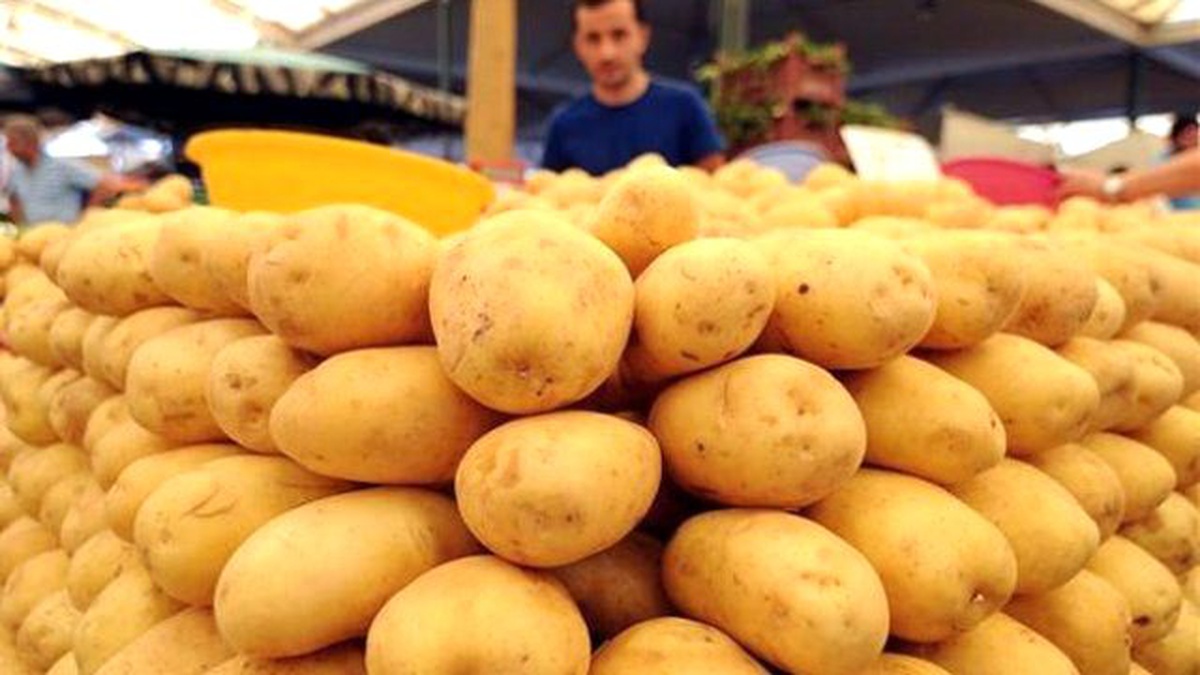 Patatesin Fiyatı Geçen Yıla Göre 6 Kat Düştü