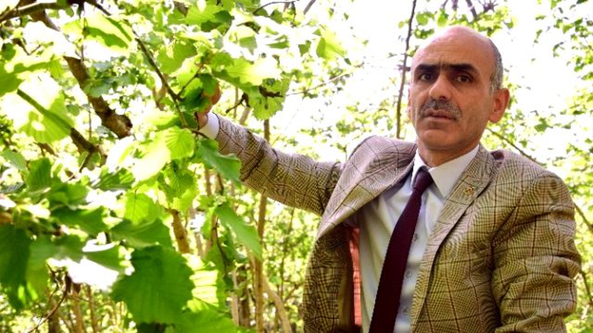 Alan Bazlı Gelir Desteği Haziran\'da Ödenmeye Başlanacak