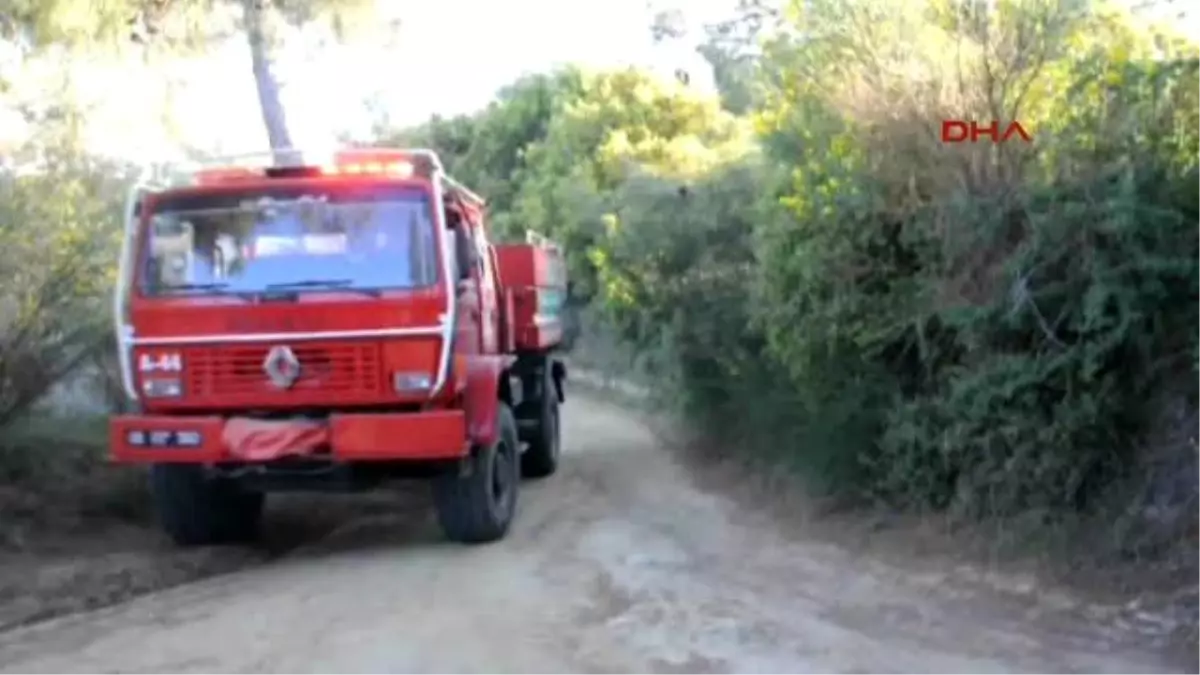 Aydın Zeytinlik Alanda Başlayan Yangın Kontrol Altına Alınamıyor