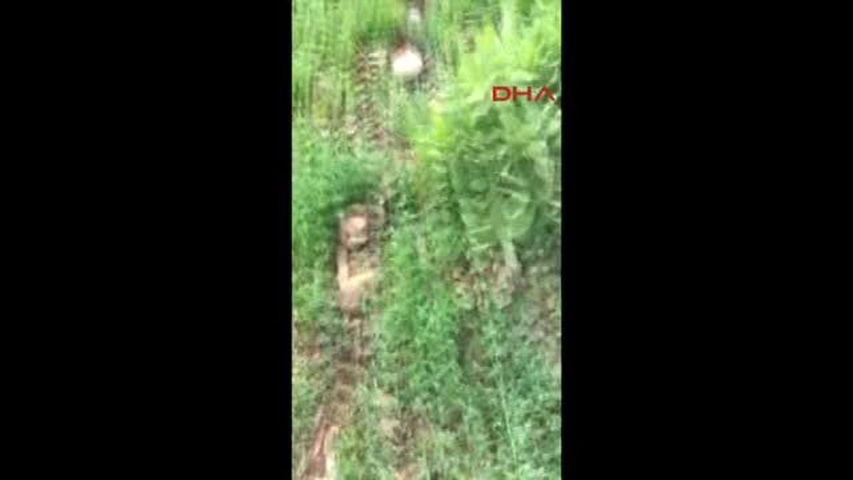 Diyarbakır\'da 120 Amonyum Nitrat ile Güçlendirilmiş Eyp İmha Edildi
