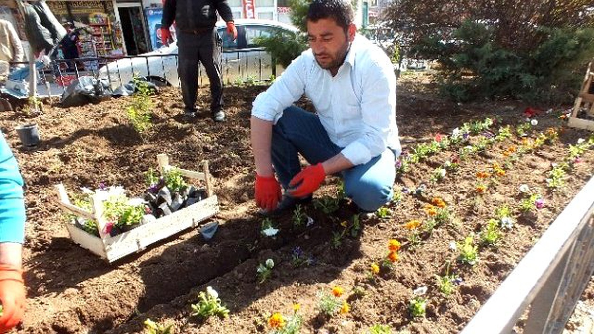 Malazgirt\'te Yeşillendirme Çalışmaları