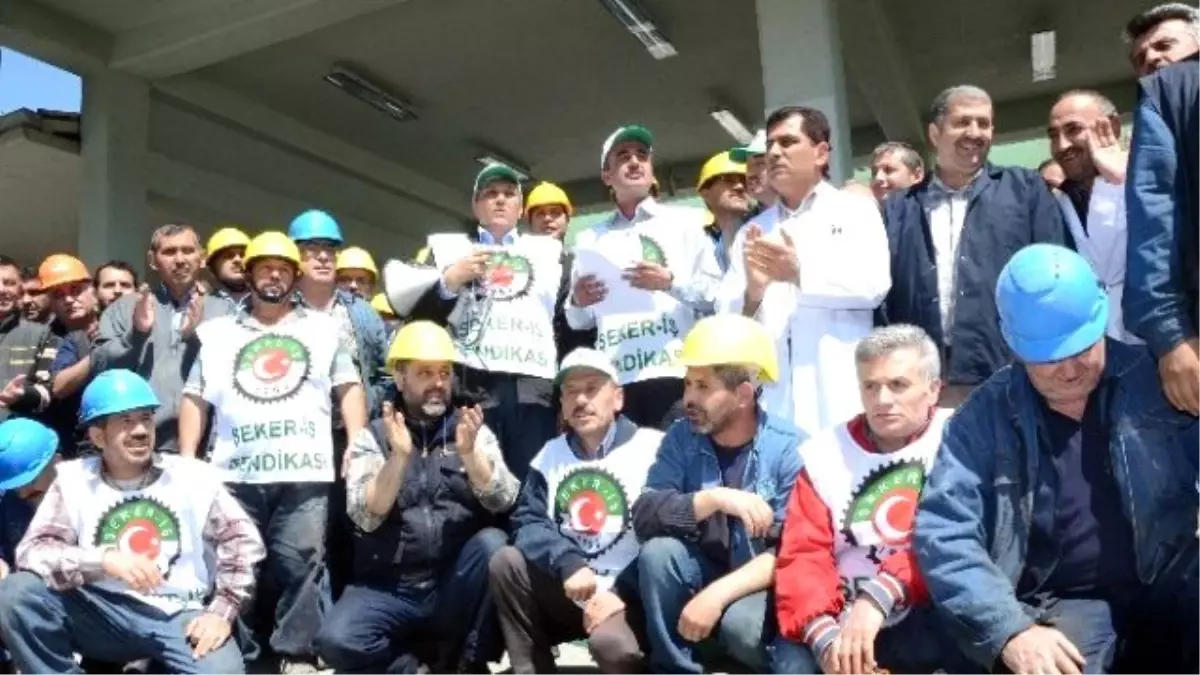 Şeker İşçilerinden Bir Garip Eylem