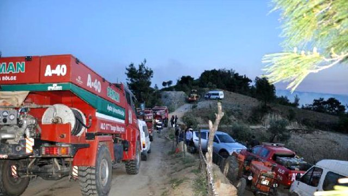 Zeytinlik Alanda Başlayan Yangın Kontrol Altına Alınamıyor
