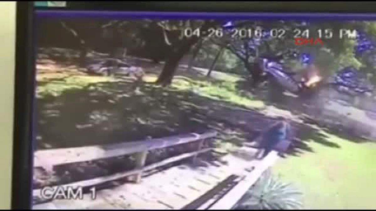Pilot Düşen Uçaktan Sadece Elindeki Çizikle Kurtuldu