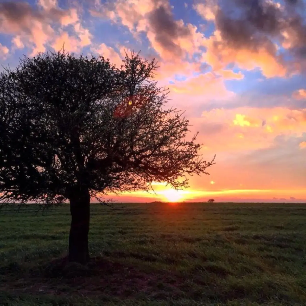 Tamirane'de Bu Hafta Sonu