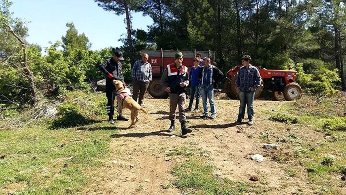 Bayramiçli Kayıp Çiftçi İçin Arama Başlatıldı
