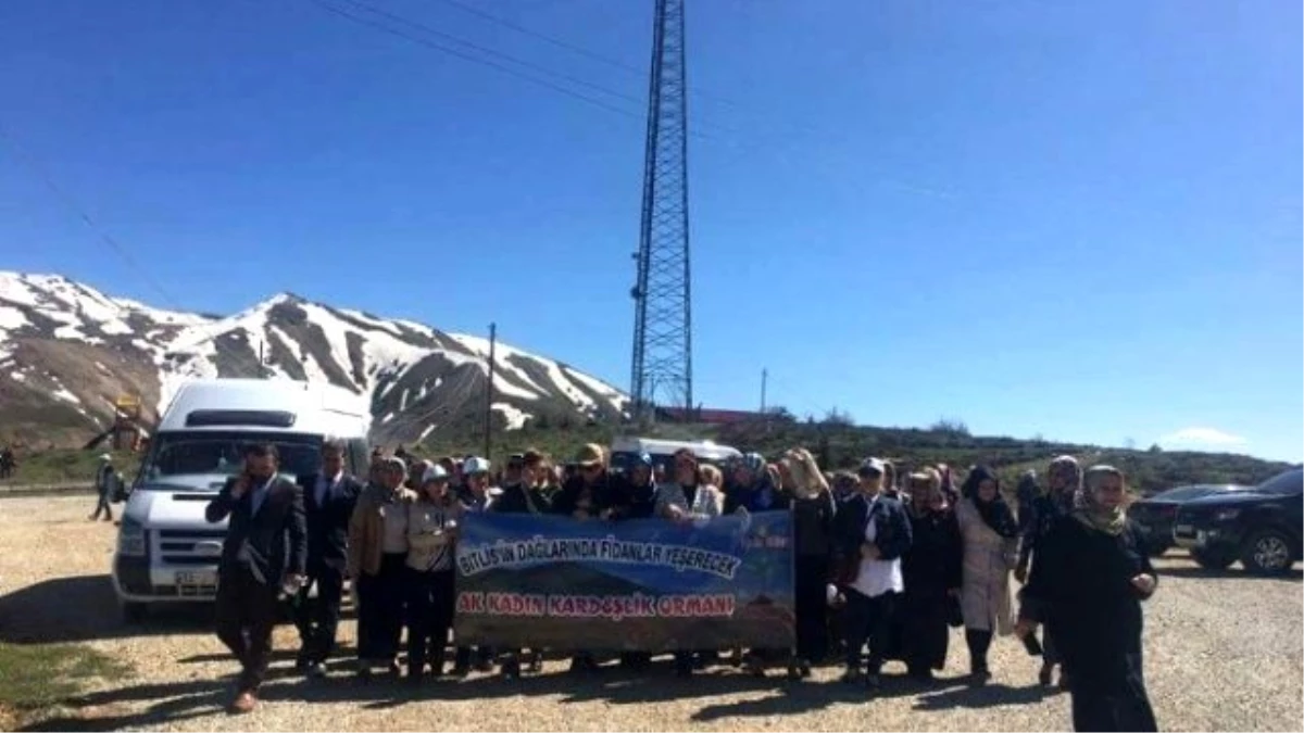 Doğu Batı Hep Birlikte El Ele \'Bedenimiz Türkiye\' Sloganıyla Ak Kadınlar Bitlis\'te Ağaç Dikti