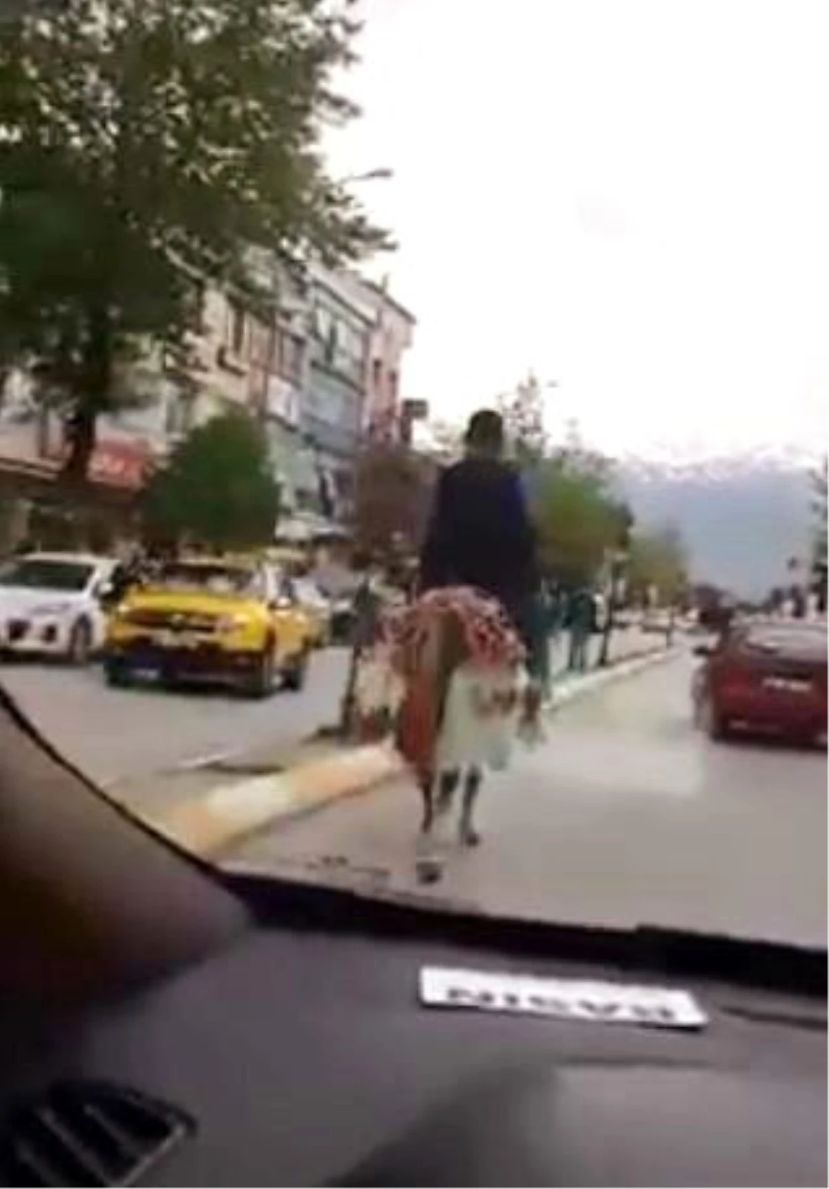 Trafikte İlerleyen At Şaşırttı