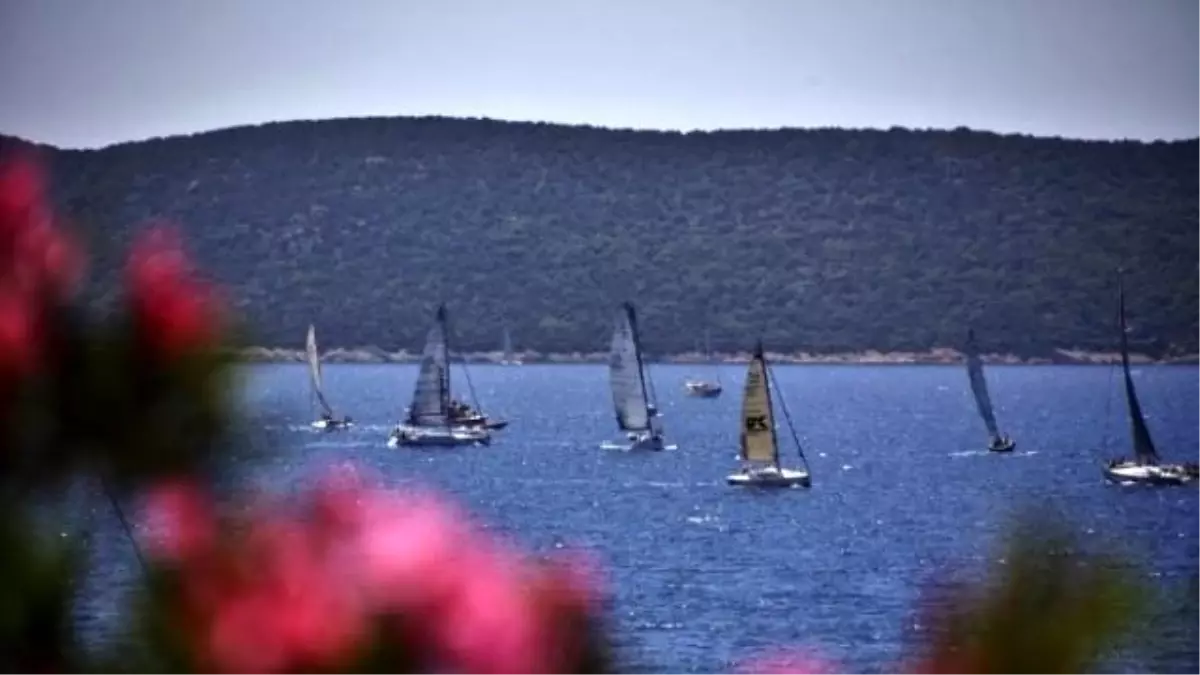 Bodrum Açıkları Şenlendi