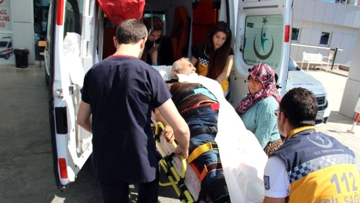 Domuza Ateş Ederken Arkadaşını Vurdu