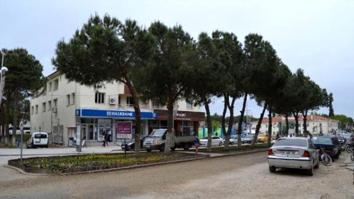 Kula\'da Yarım Asırlık 10 Çam Daha Kesildi