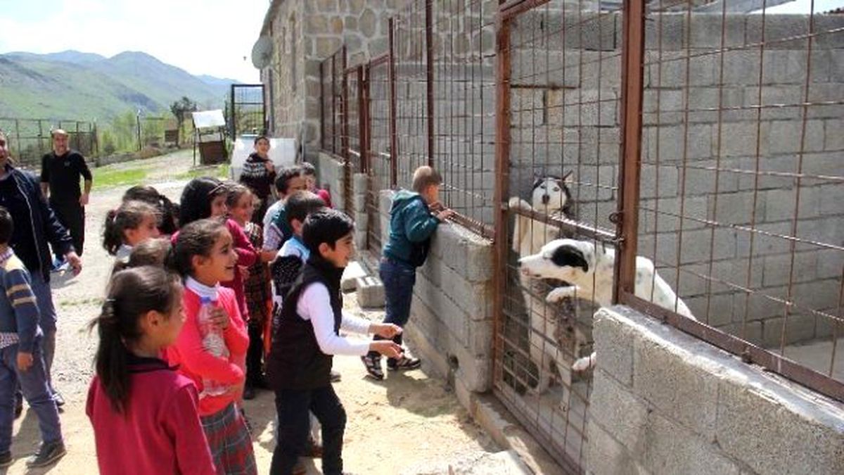 Öğrenciler Hayvan Barınağını Gezdi