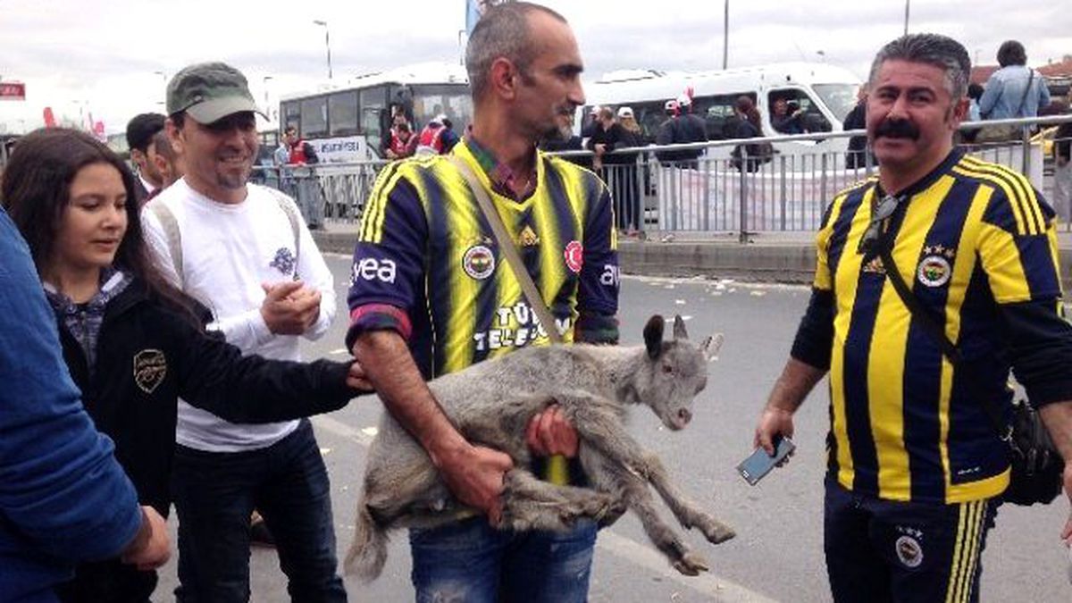 1 Mayıs Kutlamalarında Kalabalığın Arasına Dalan Keçi Yavrusu İlgi Odağı Oldu