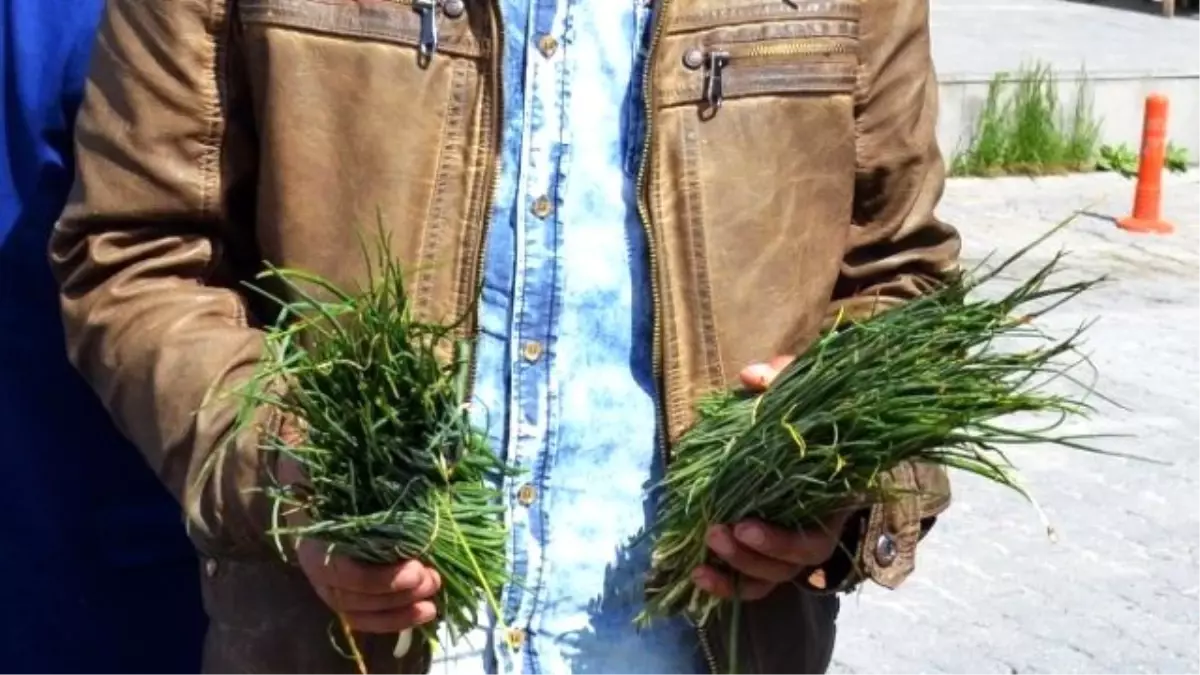 Peynire Katılan Heliz Otu ve Sirmo Piyasaya Çıktı