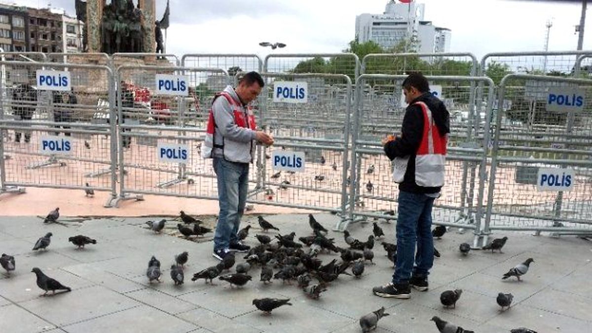 Taksim Meydanı Güvercinlere Kaldı