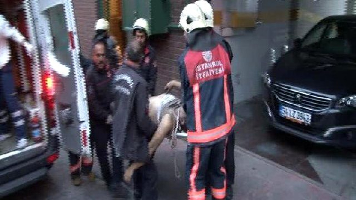 Boya İşçisi Su Deposunu Boyarken Zehirlendi