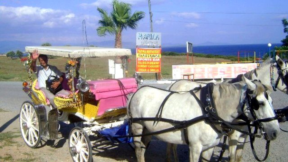 Didim\'de Faytoncular Gezdirecek Turist Bekliyor