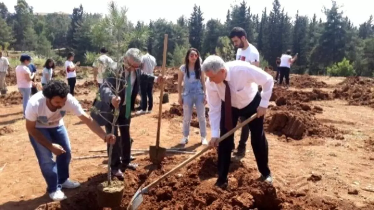 Kan Bağışı Sonrası Her Şehit Adına Bir Fidan