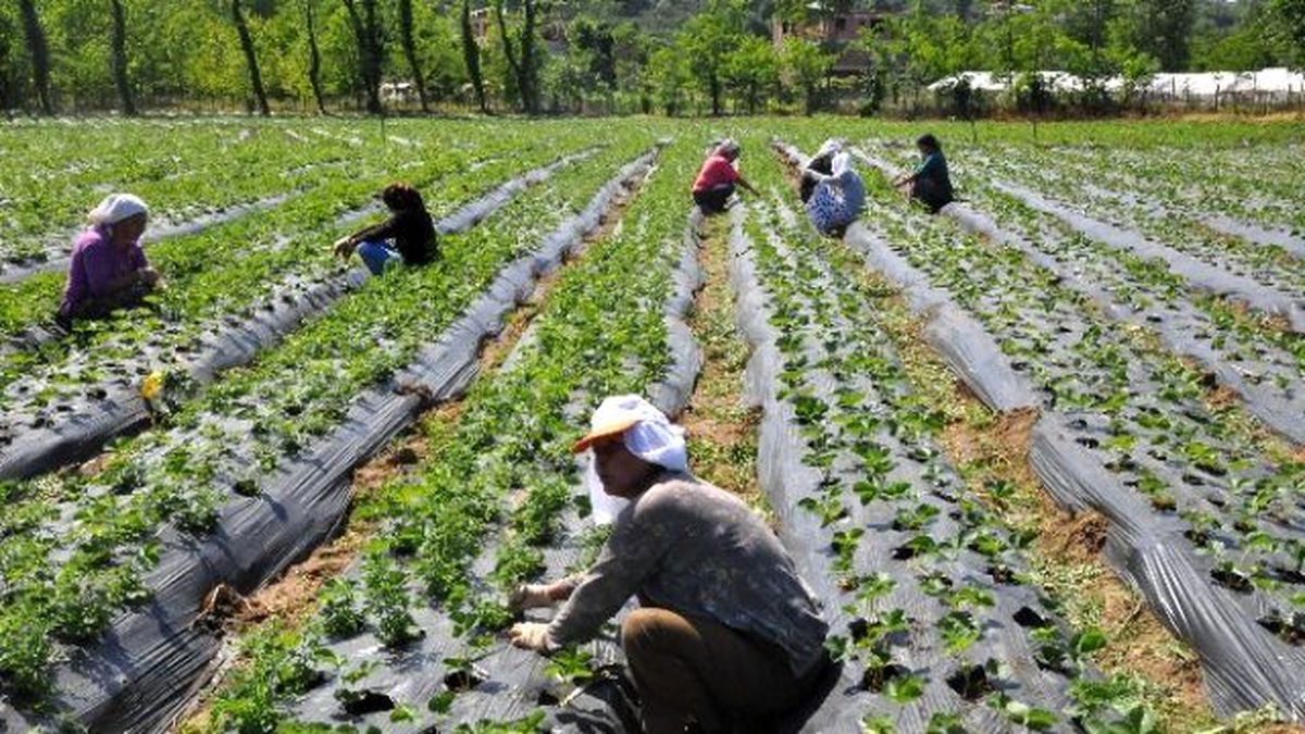 Kkydp Ekonomik Yatırımlar İçin Süre 3 Ekim\'e Kadar Uzatıldı