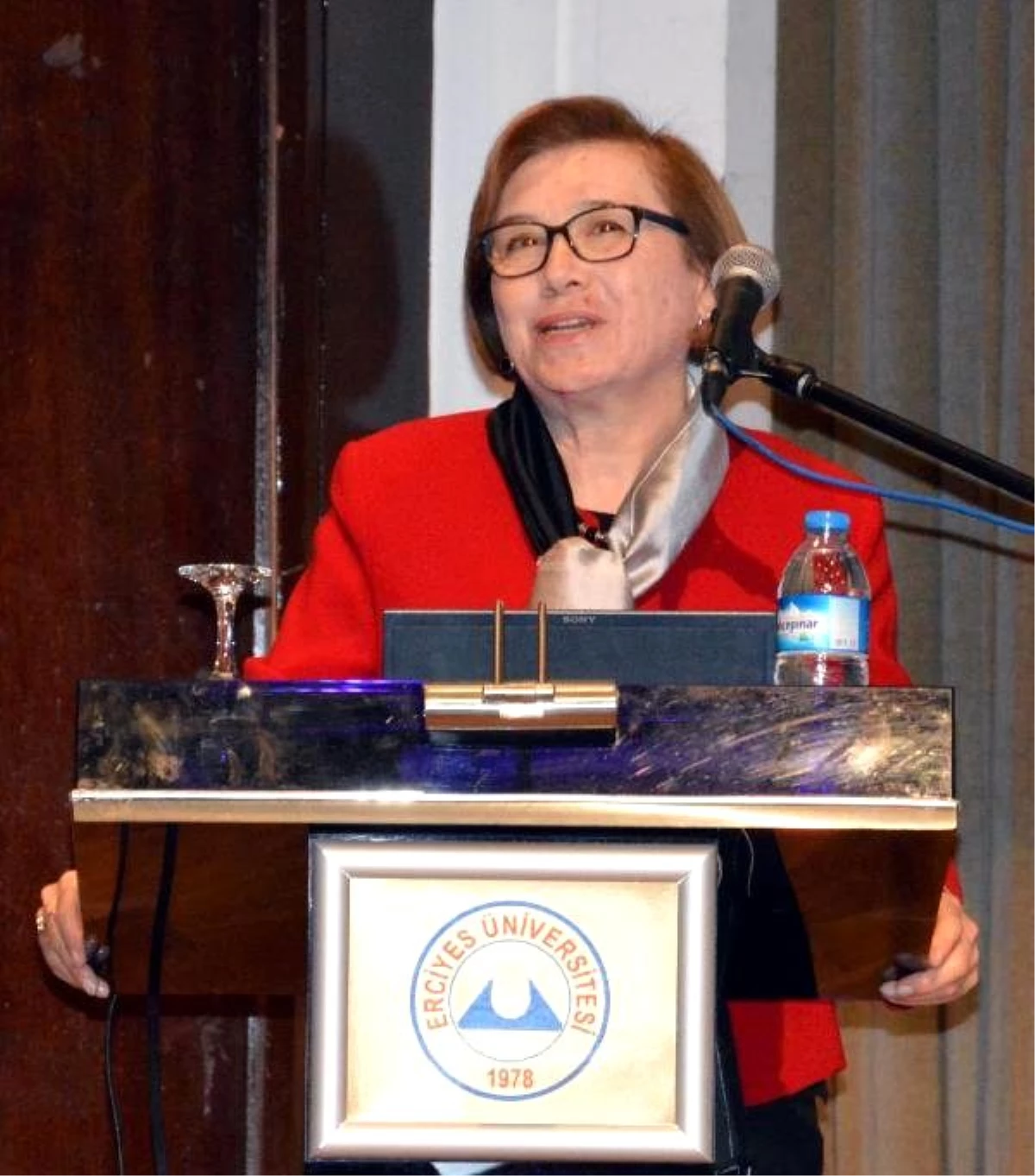 Prof.dr. Ecevit: Toplum, Erkek ve Kadınları Farklı Kalıpların İçine Girmeye Zorluyor