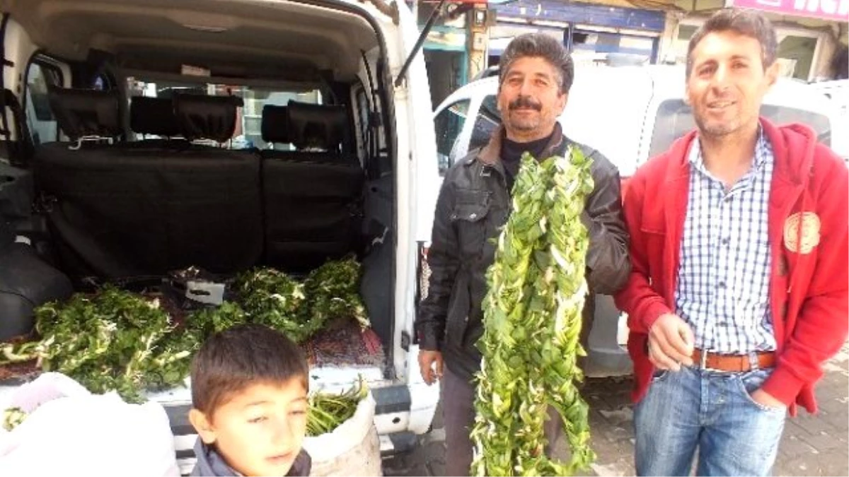 Şifalı Otlar Tezgâhlarda Yerini Aldı