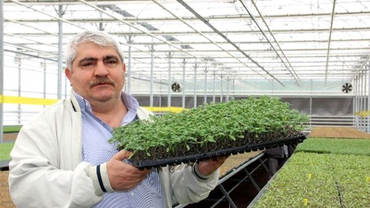 Yalova\'da Vatandaşa ve Çiftçilere 500 Bin Fide