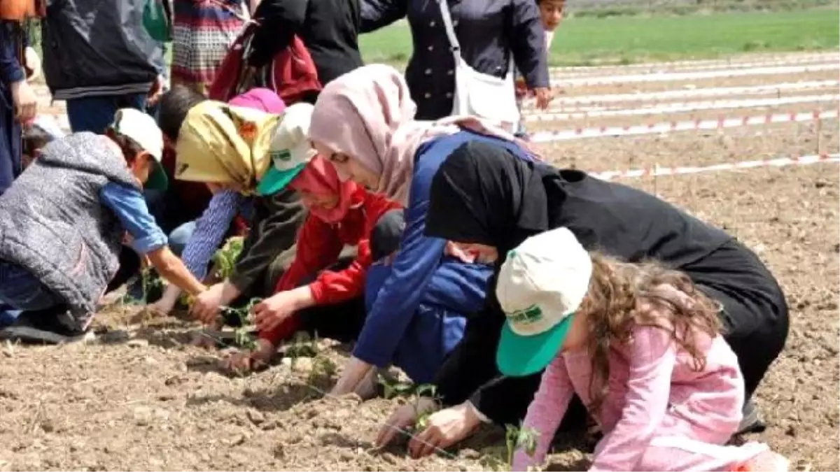 Yetimler İçin Sebze Yetiştirecekler