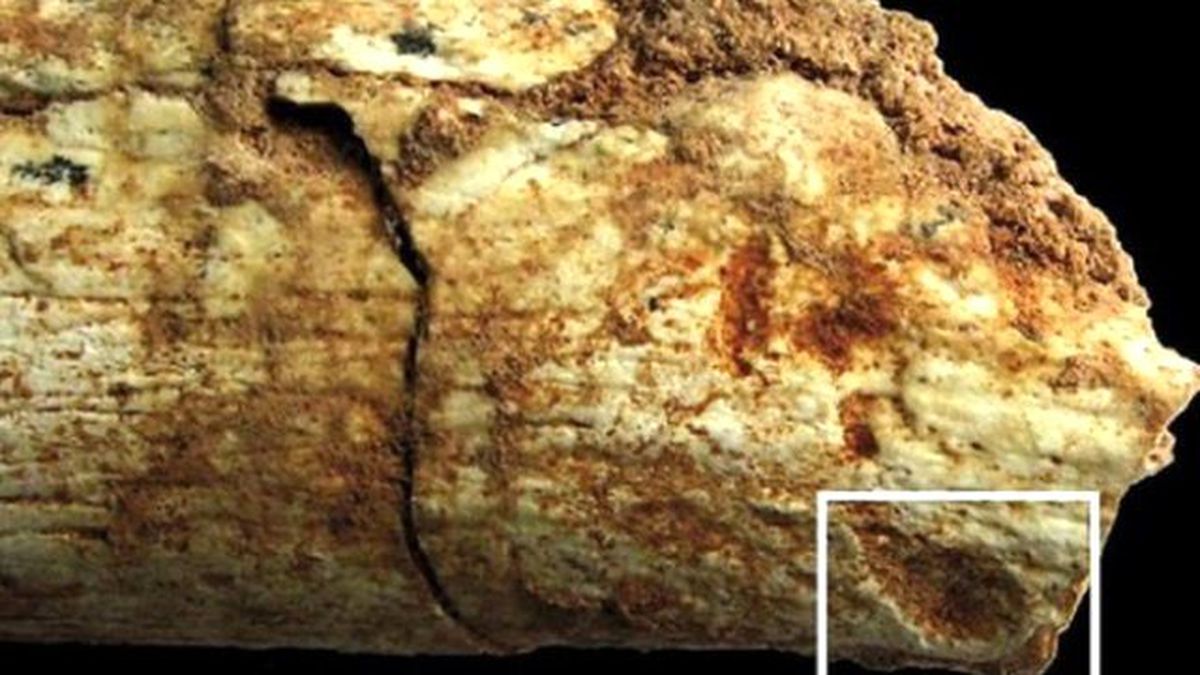 500 Bin Yıllık İnsan İskeleti Bulundu