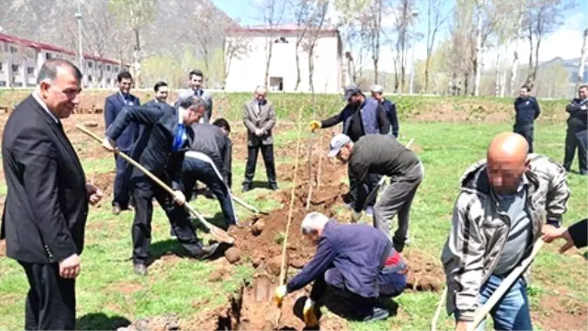 Bitlis Açık Cezaevi\'nde Peyzaj Çalışması