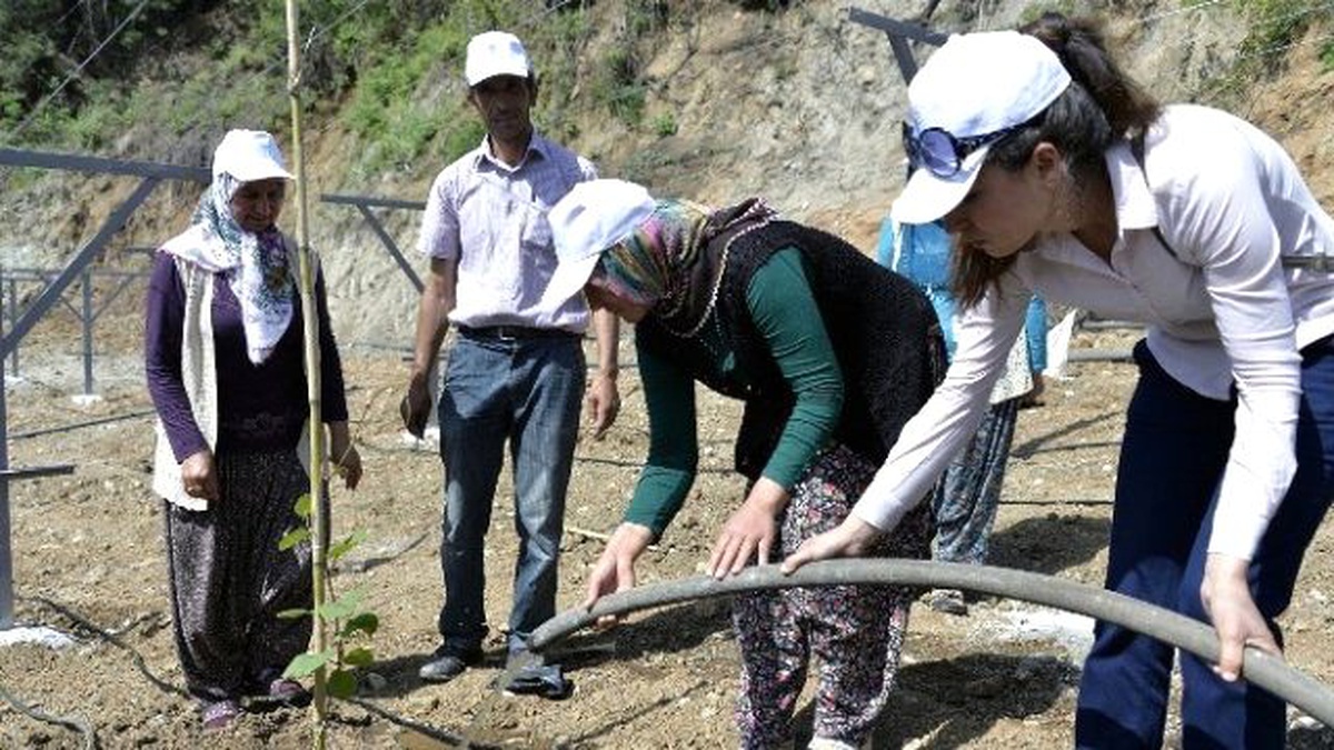 Büyükşehir Belediyesi, Kivi Yetiştiriciliği Projesini Hayata Geçirdi