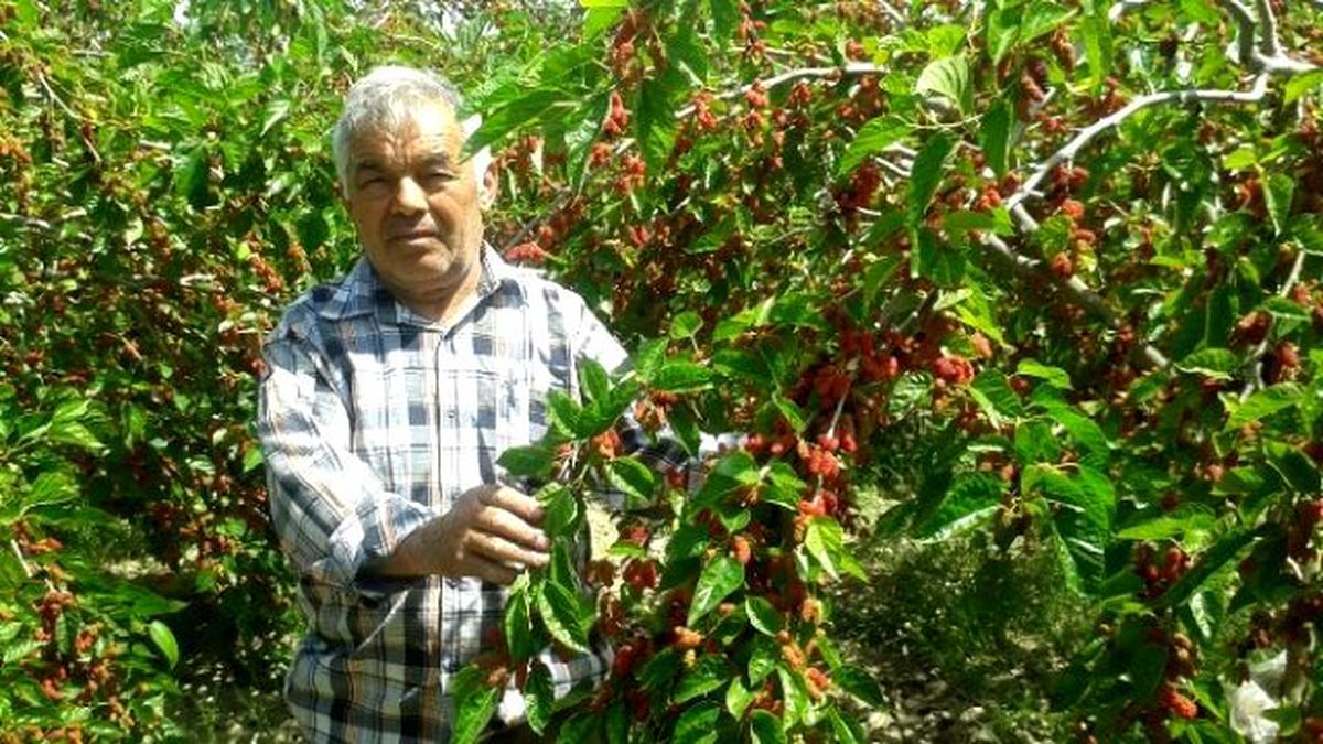 Fransız Terzi, Memleketindeki Çiftçilere Örnek Oldu