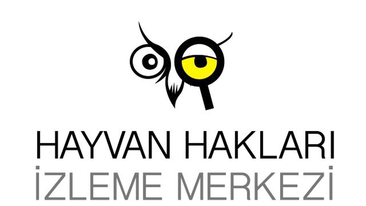 Hayvan hakları ihlalleri raporu açıklandı