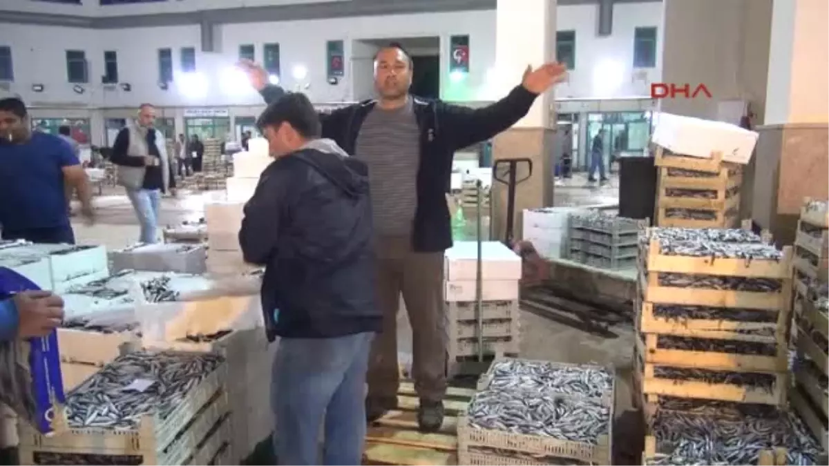 İzmir Yasaklardan Sonra Balık Fiyatları Yükseldi