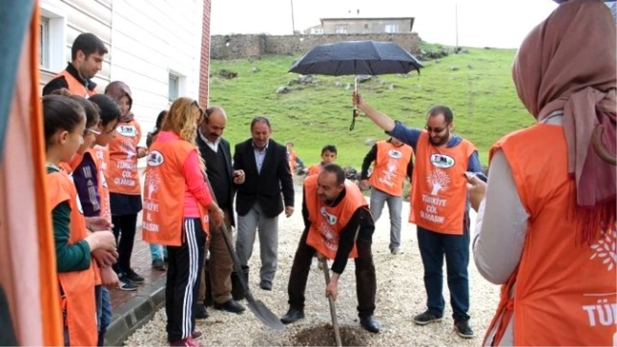 Öğrenciler Okul Bahçesine Fidan Dikti