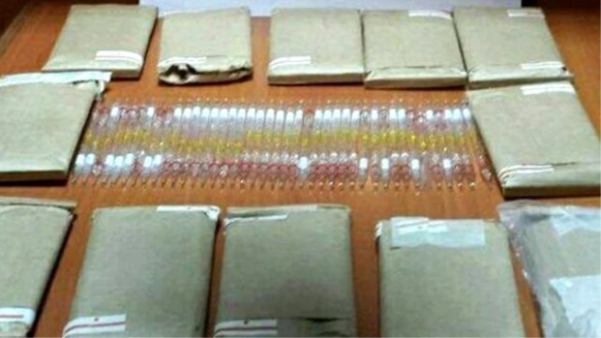 Tokat'ta Ele Geçirilen Kobra Zehirinin 3 Milyon Lira Ettiği Ortaya Çıktı