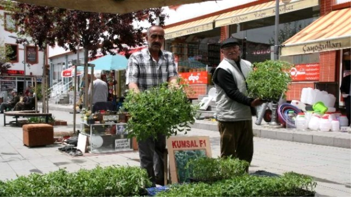 Yozgat\'ta Sebze Fiyatları Satışa Sunuldu