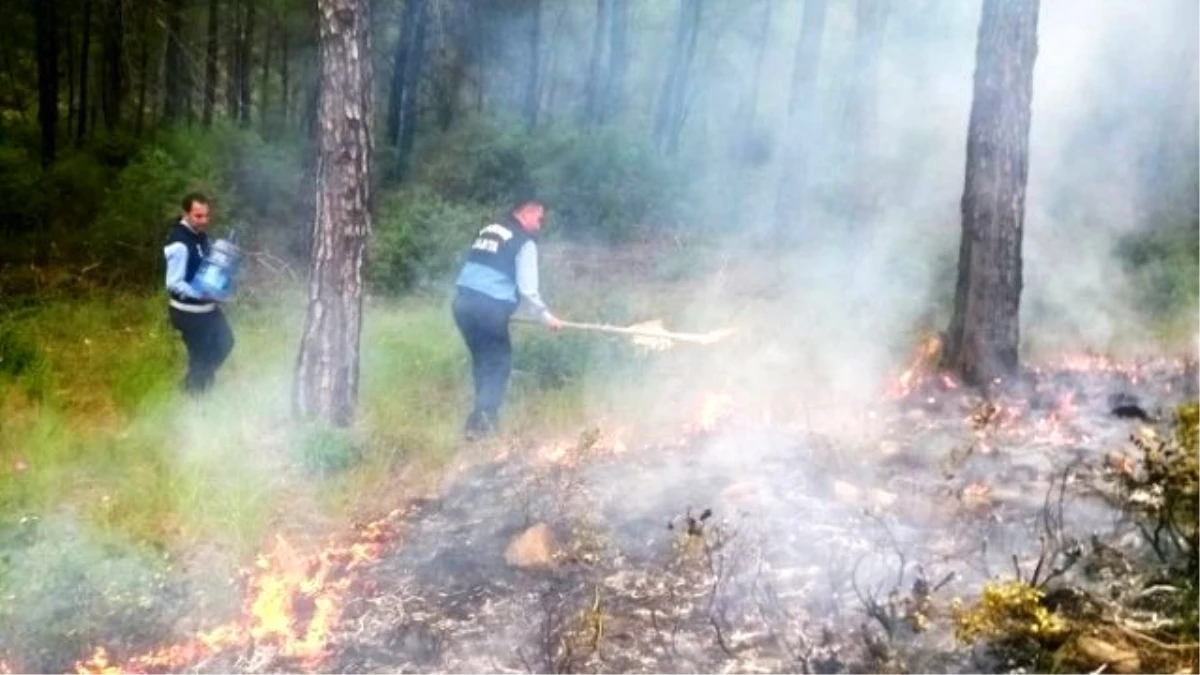 Zabıta Alevlere Müdahale Etti