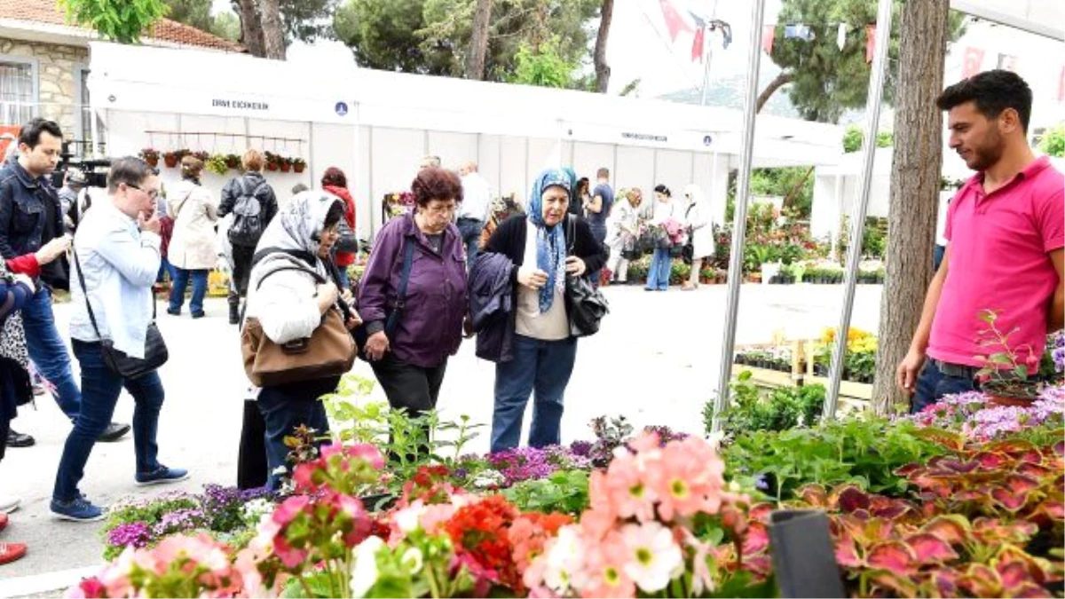 19. Uluslararası Bayındır Çiçek Festivali başladı