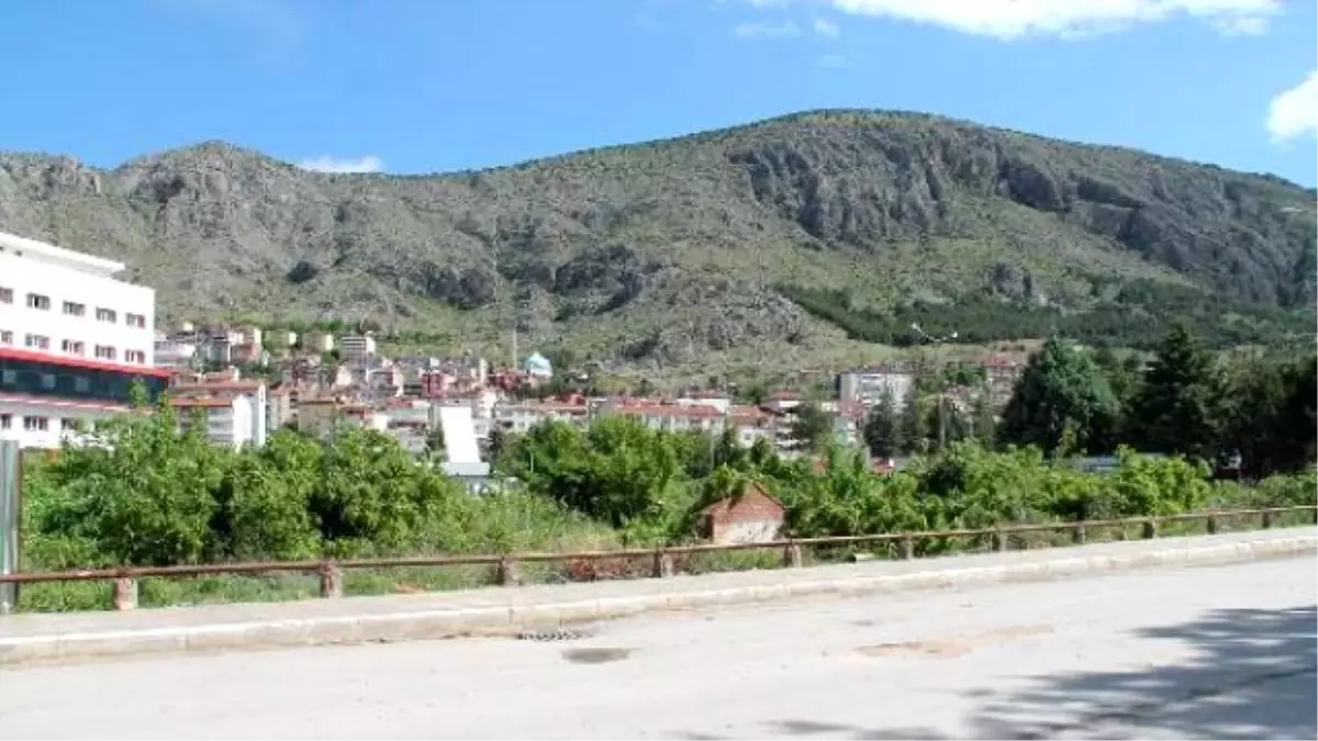 Amasya\'nın \'Yeşil Nöbeti\'nde Aleyhte Karar Çıktı; 90 Ağaç Kesildi