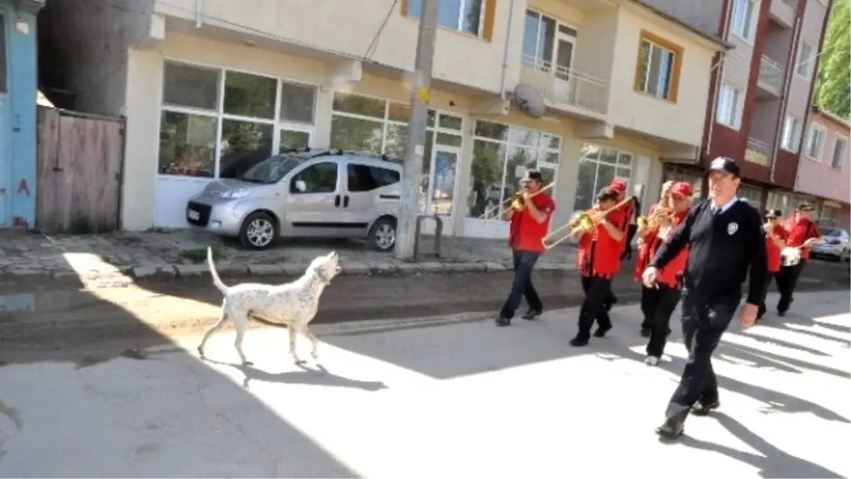 Bandoya Eşlik Eden Köpek