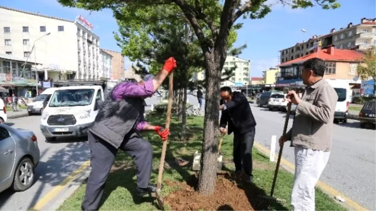 Güroymak Belediyesi\'nden Hummalı Çalışma