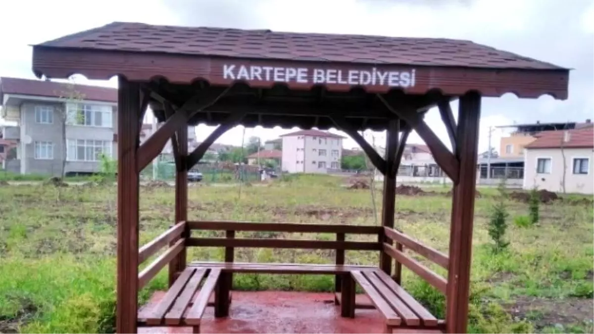 Kartepe\'nin 2 Mahallesine Kamelyalar Kondu