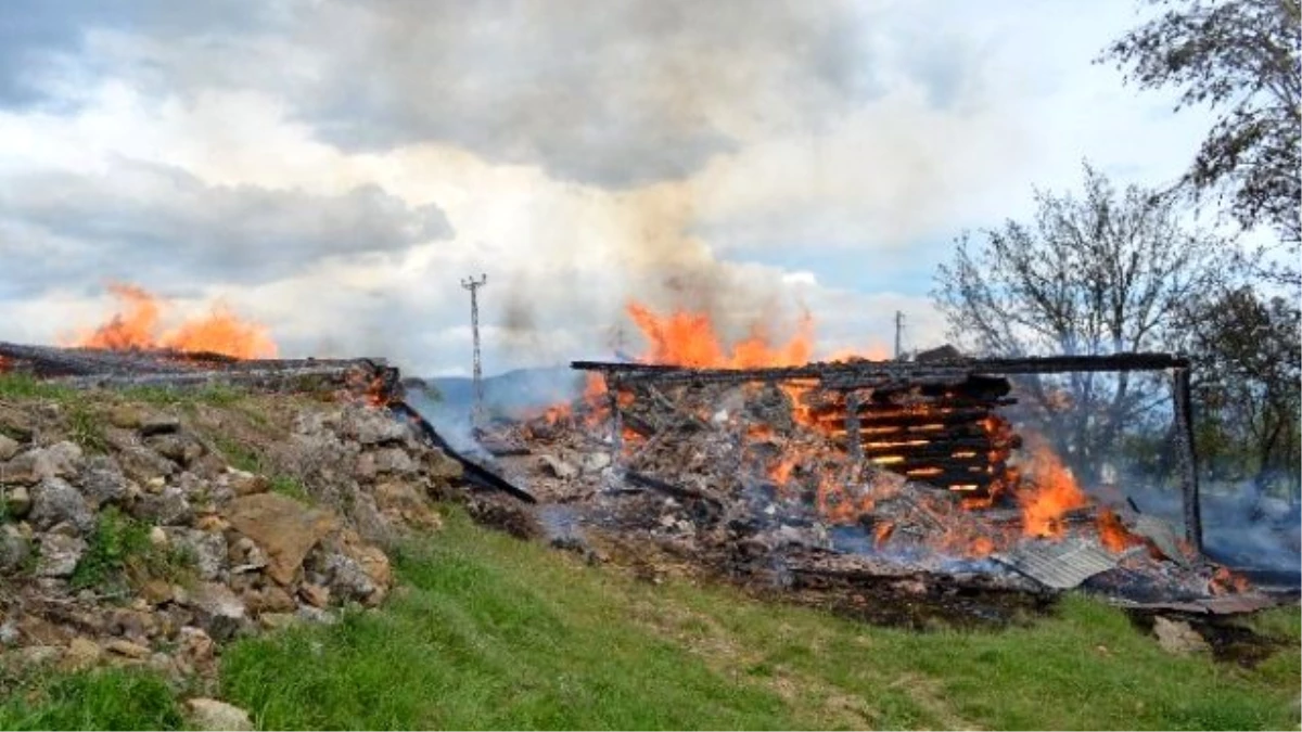 Köyde Ev Yangını